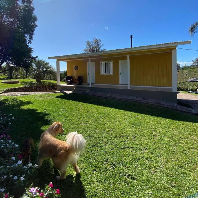 Casa Vigneto Octavio No Vale Dos Vinhedos Villa Bento Gonçalves Екстериор снимка